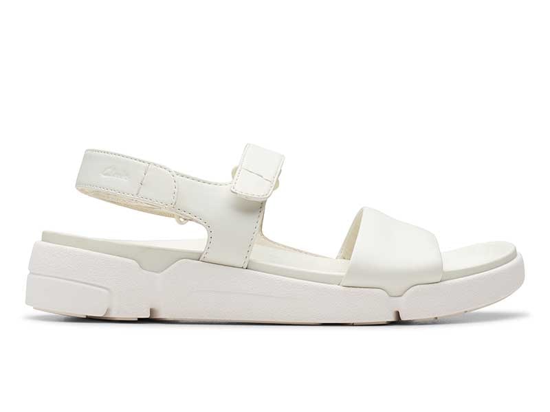 Trigenic2 See トライジェニック2シー